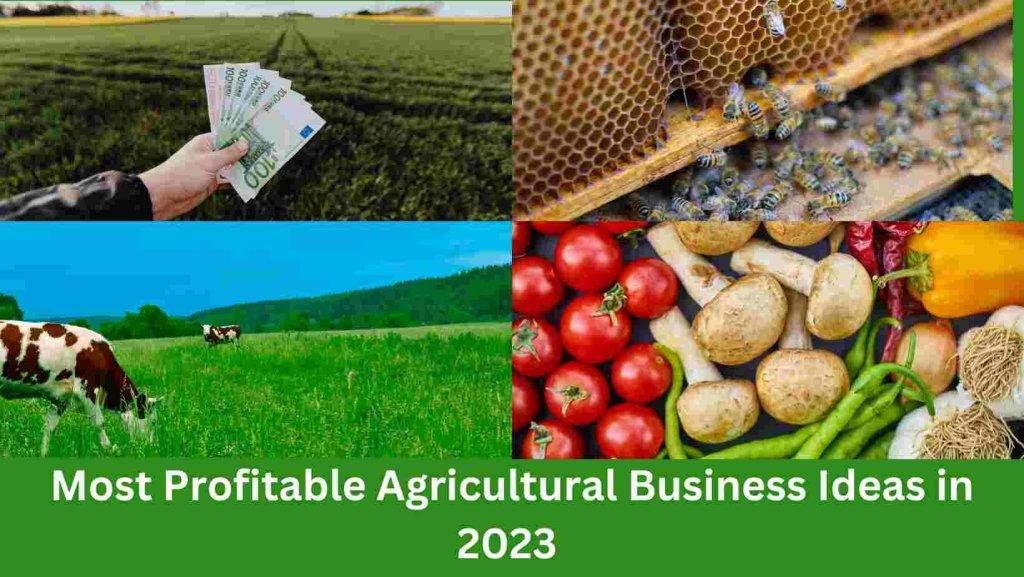 agriculture based business in Hindi